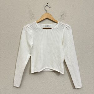 ARITZIA WILFRED Rosetta Mesh Crewneck Sweater in Light Birch